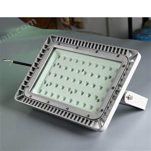 BSC8380石油石化防爆投光燈150W