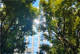 机器人领域新专利密集亮相，不约而同优化了结构