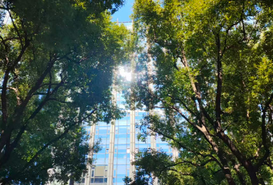 商务部：2025年我国科研技术服务业实际使用外资占比近五分之一