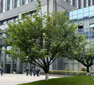 常州：AI智医助手--利用大模型赋能的医学文书生成和智能导诊创新应用