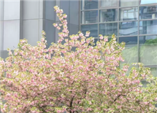 �����о�����Ϣί�����³���ǣ���¼������� ������������������