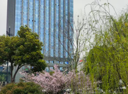 国家数据局印发2026年数字经济发展工作要点