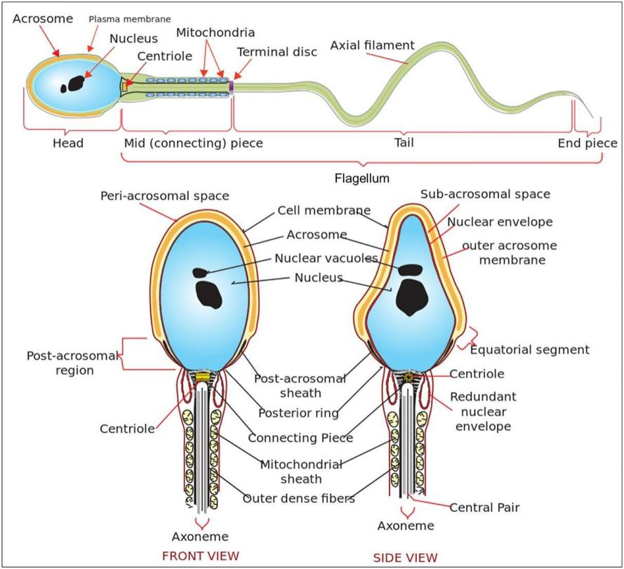 CASA算法的评估工具【1】