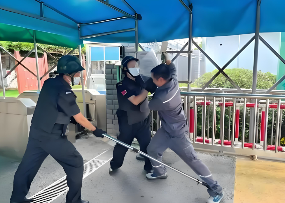 隐形守卫·景观灯激光对射——重塑校园、别墅安防美学标准